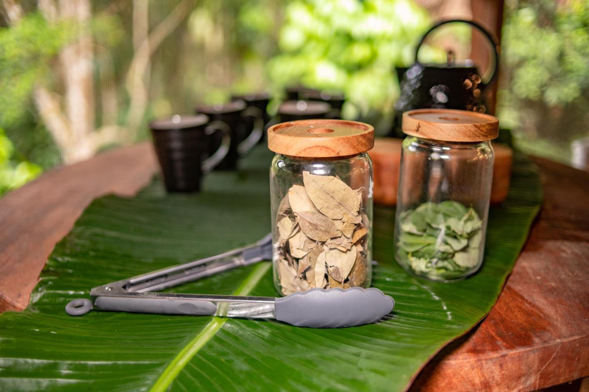 Awaken Amazonian Healing Resort All Inclusive Iquitos Dış mekan fotoğraf