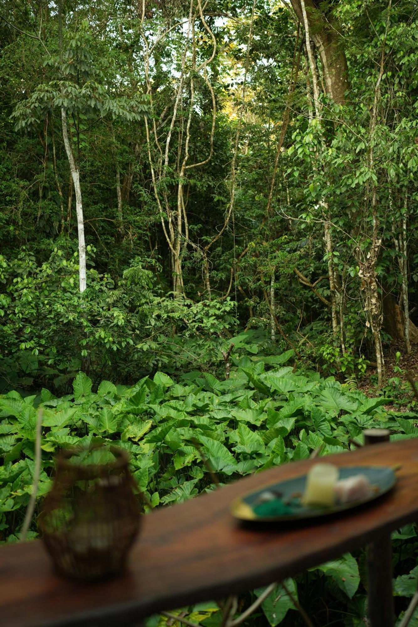 Awaken Amazonian Healing Resort All Inclusive Iquitos Dış mekan fotoğraf